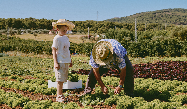 TBMARB NUESTRA HISTORIA 1